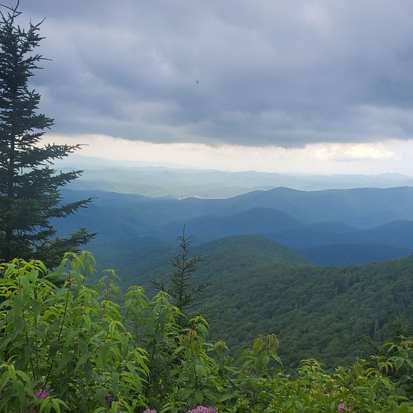 Meet your Posher, Malena - Picture 1 of 1